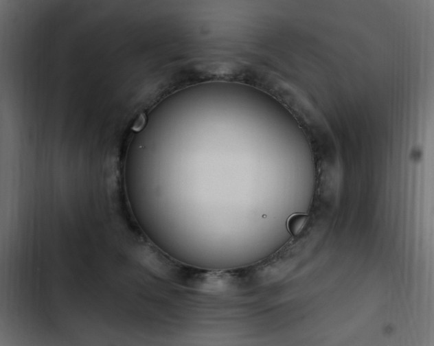 X0000103440612200809121405