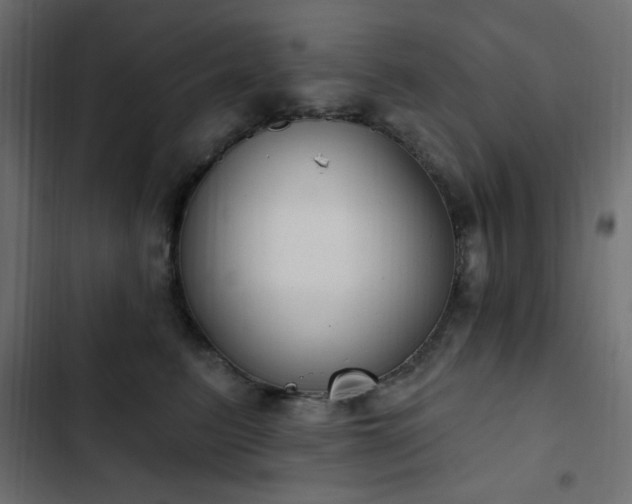 X0000103440615200809121405