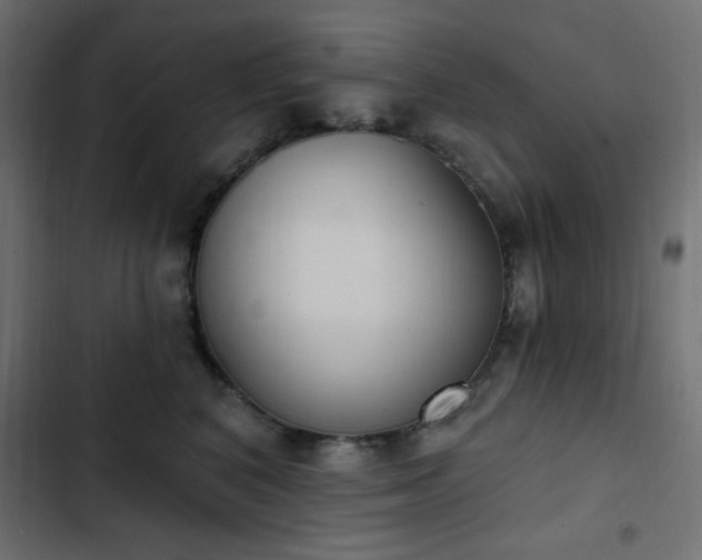X0000103440616200809121405