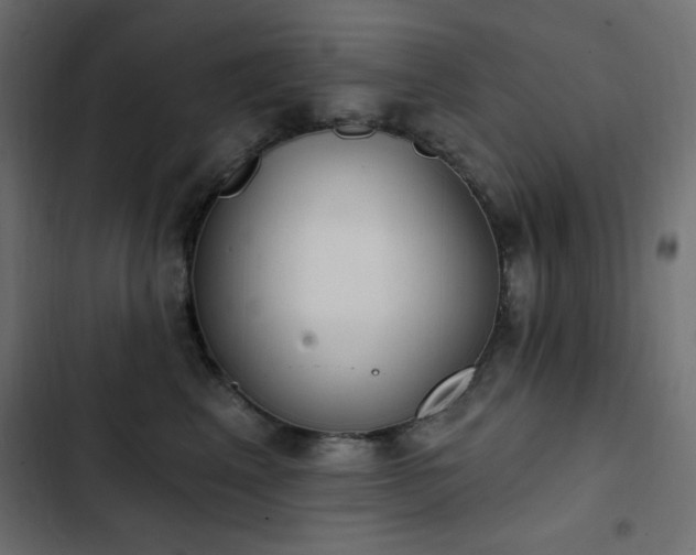 X0000103440617200809121405