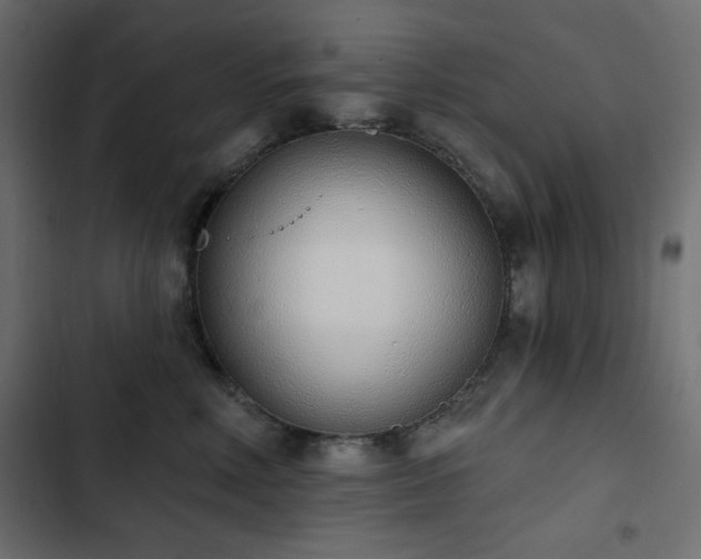 X0000103440618200809121405