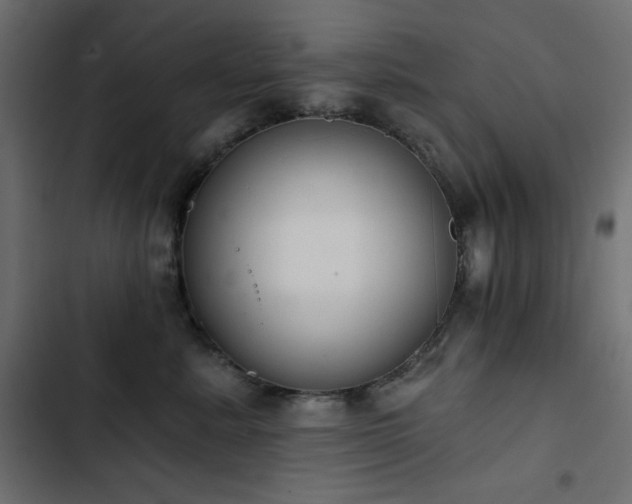 X0000103440619200809121405