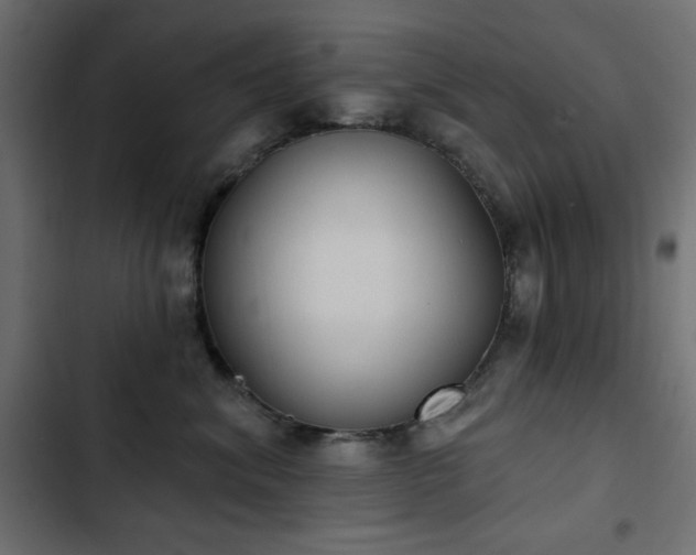 X0000103440620200809121405