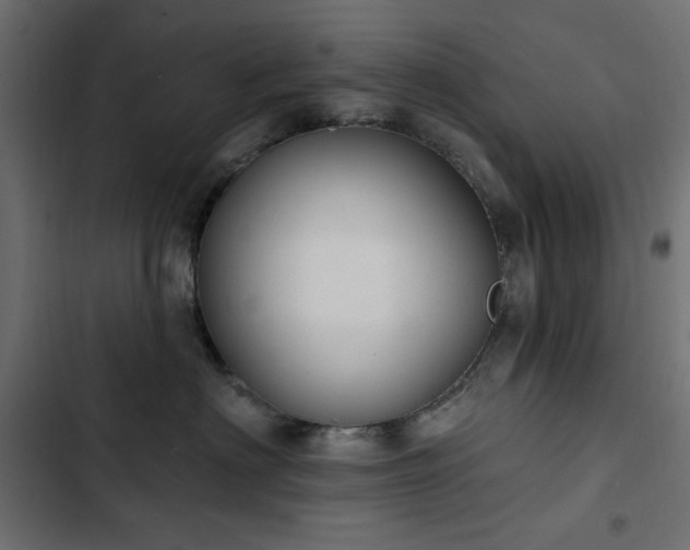 X0000103440622200809121405