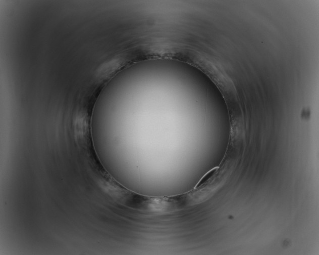 X0000103440623200809121405