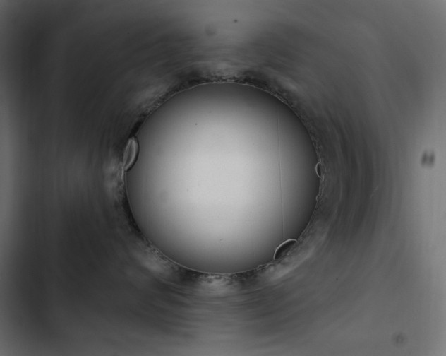 X0000103440624200809121405
