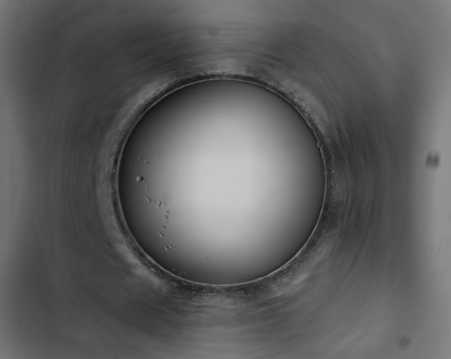 X0000103440625200809121404