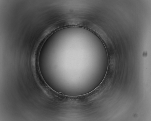 X0000103440626200809121404