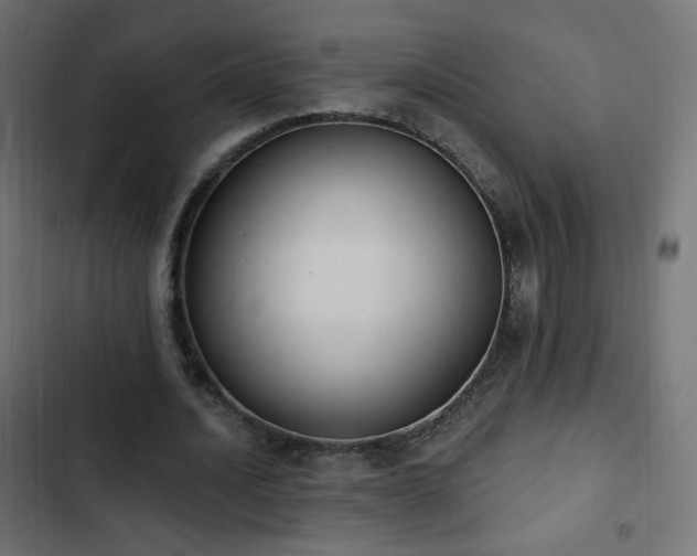 X0000103440628200809121404