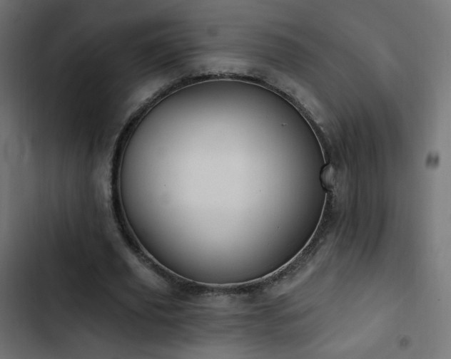X0000103440629200809121404