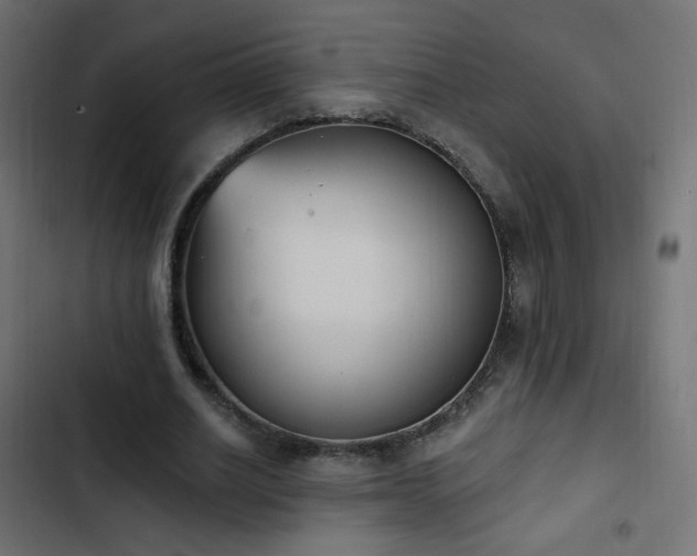 X0000103440630200809121404