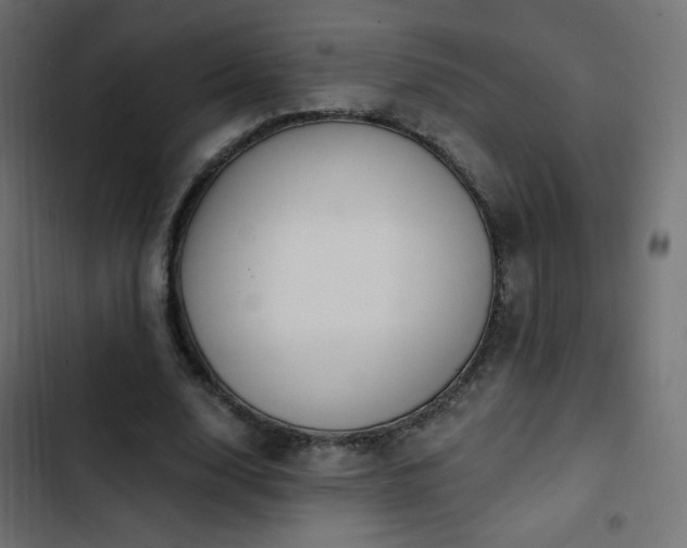 X0000103440632200809121404