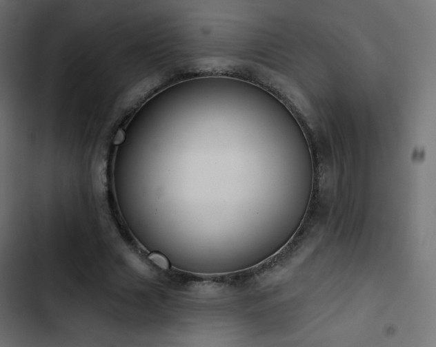 X0000103440633200809121404