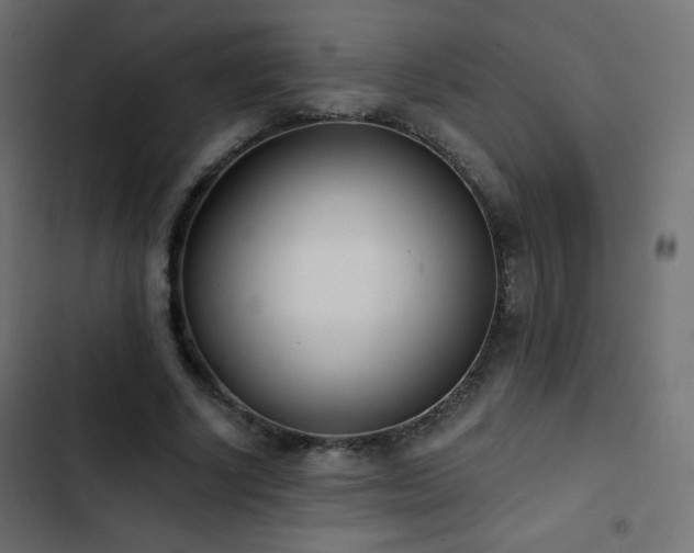 X0000103440634200809121404