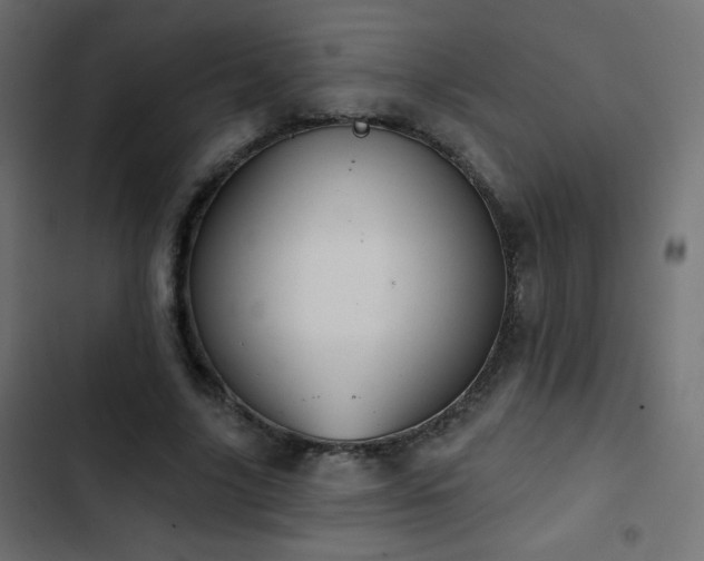 X0000103440635200809121404