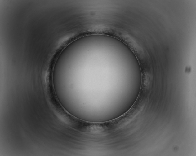 X0000103440636200809121404