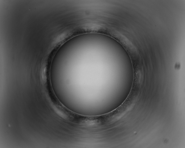 X0000103440638200809121404