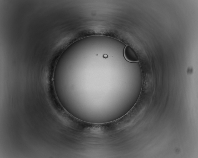 X0000103440639200809121404