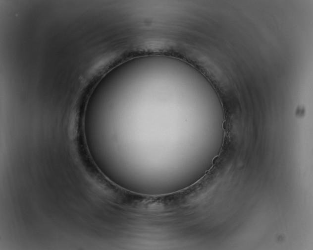 X0000103440640200809121404