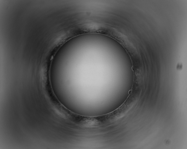 X0000103440642200809121404