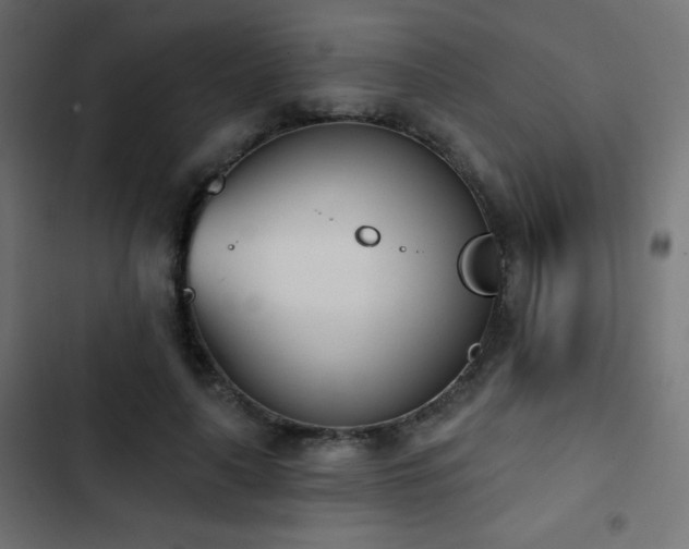 X0000103440643200809121404