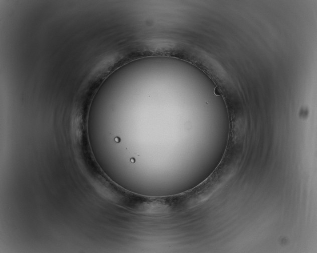 X0000103440644200809121404