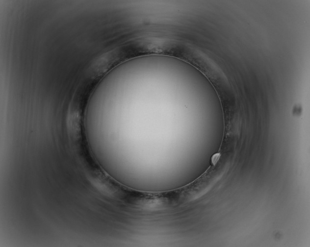 X0000103440646200809121404