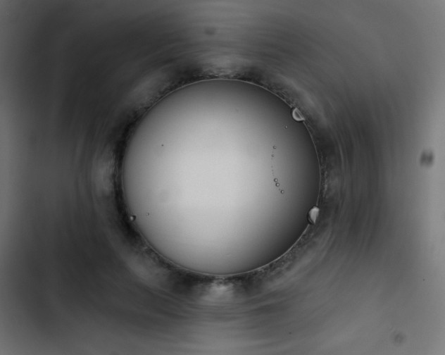 X0000103440647200809121404