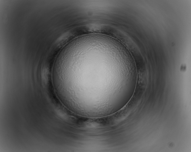 X0000103440648200809121404