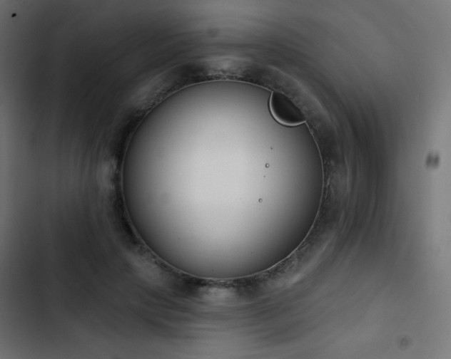 X0000103440649200809121404