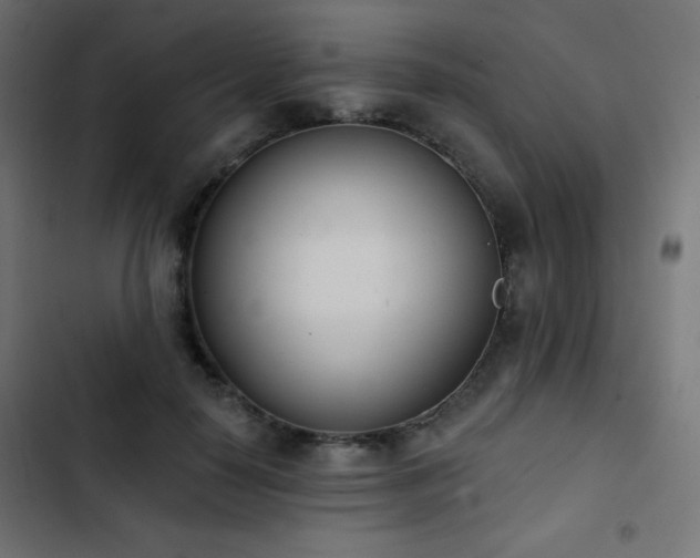 X0000103440650200809121404