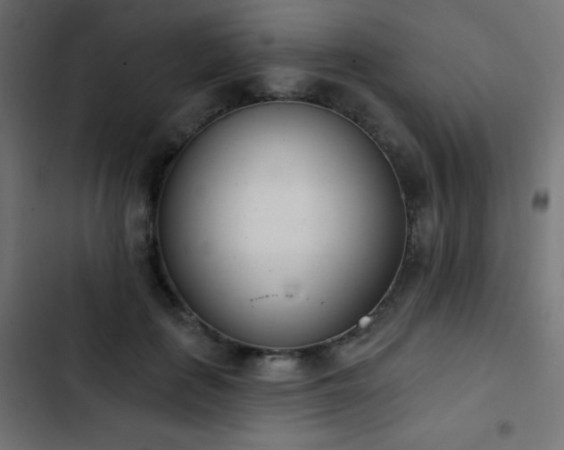 X0000103440651200809121404