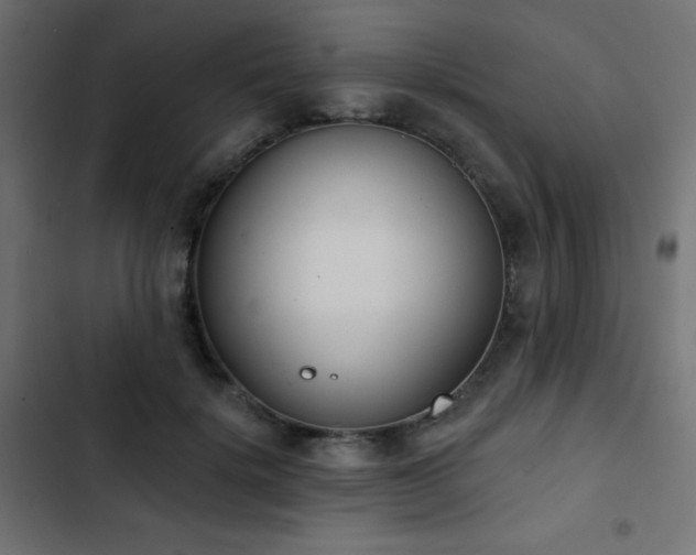 X0000103440652200809121404