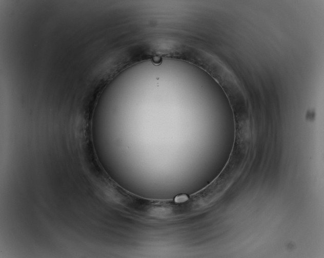 X0000103440653200809121404