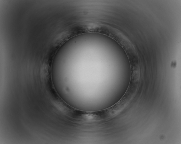 X0000103440654200809121404