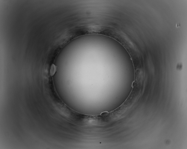 X0000103440655200809121404