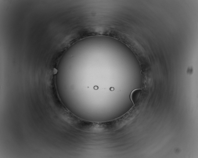 X0000103440656200809121404