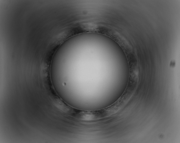 X0000103440658200809121404