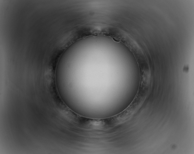 X0000103440659200809121404