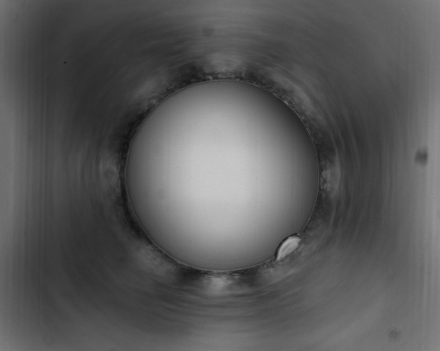 X0000103440662200809121404