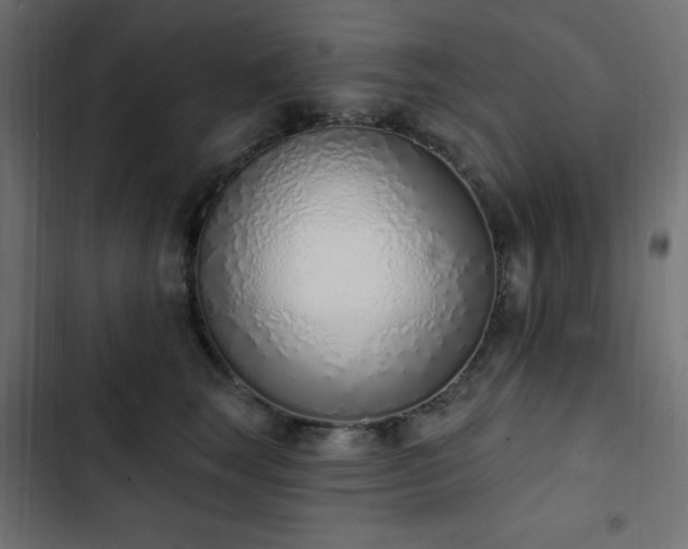 X0000103440663200809121404