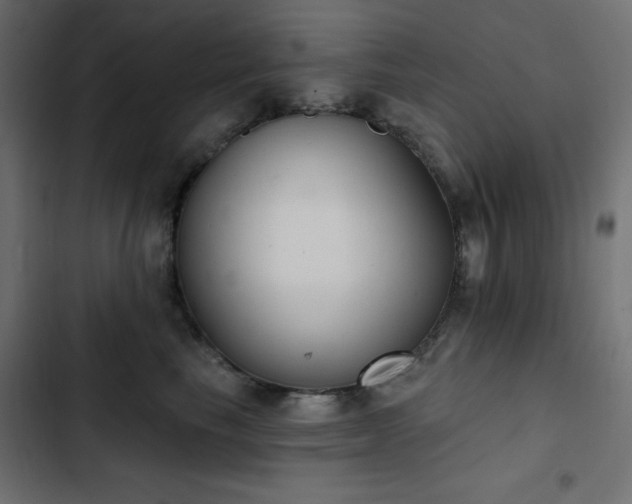 X0000103440665200809121405