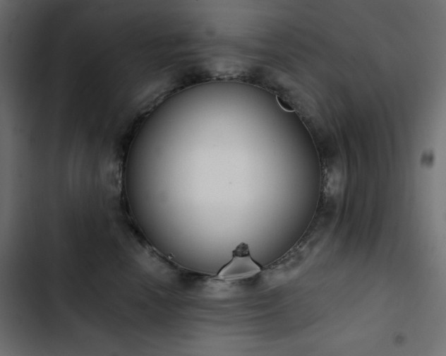 X0000103440666200809121405