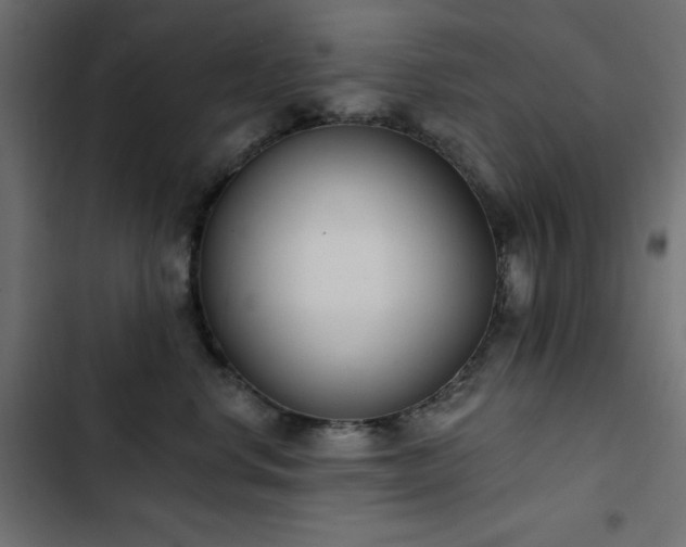 X0000103440668200809121405