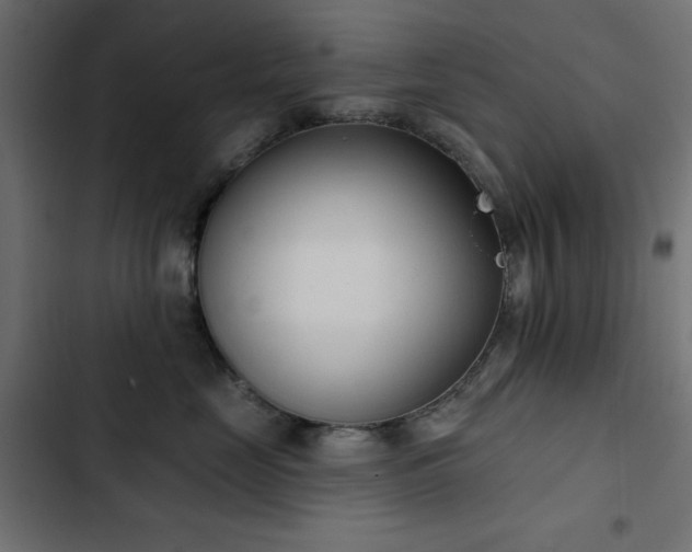 X0000103440669200809121405
