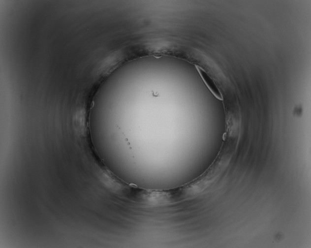X0000103440670200809121405