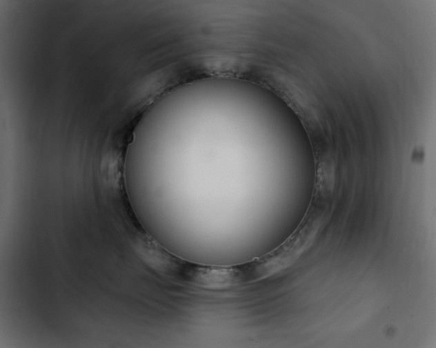 X0000103440671200809121405