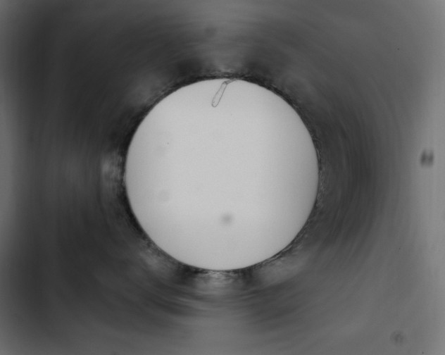 X0000103440672200809121405
