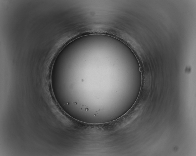 X0000103440673200809121404