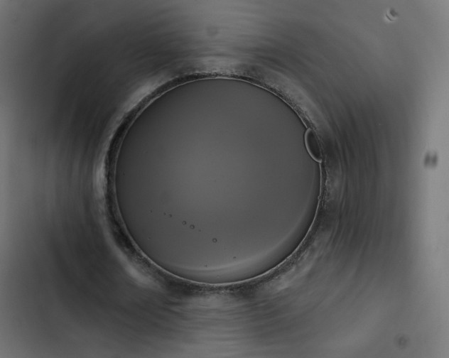 X0000103440674200809121404